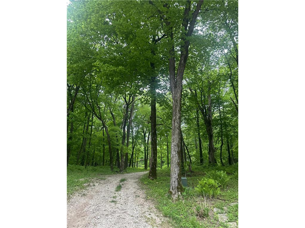 8309 County Road 19 SE Rochester MN 55904 6808522 image25