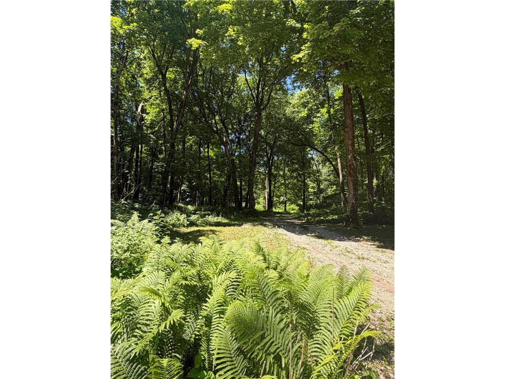 8309 County Road 19 SE Rochester MN 55904 6808522 image26