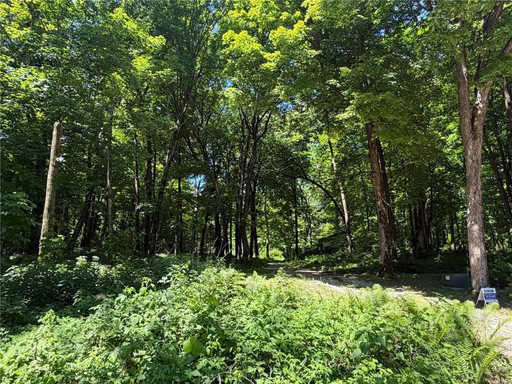 8309 County Road 19 SE Rochester MN 55904 6808522 image28