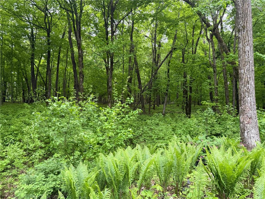 8309 County Road 19 SE Rochester MN 55904 6808522 image3