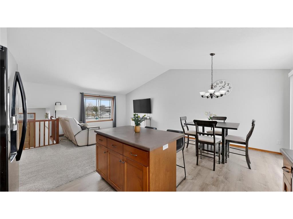 831 20th Avenue SE Pine Island MN 55963 7034196 image18