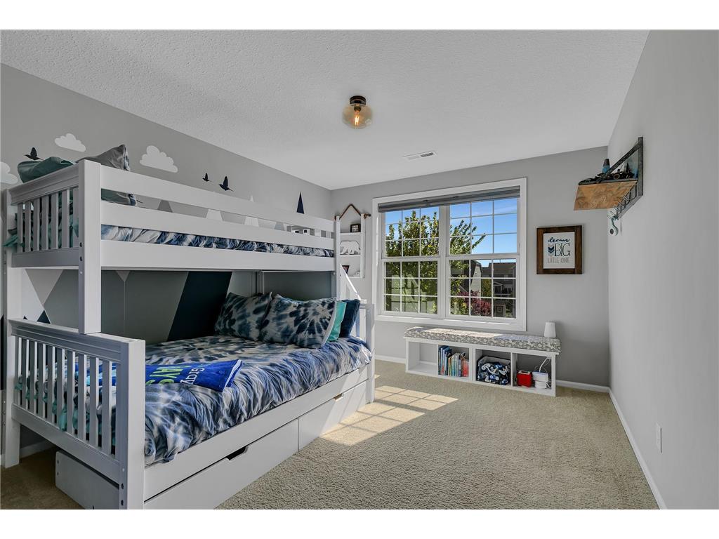 8317 Cottonwood Lane N Maple Grove MN 55369 7073809 image29