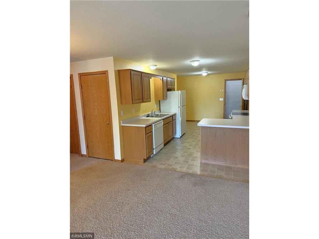 832 Laurel Avenue #Lower Hudson WI 54016 7065540 image11