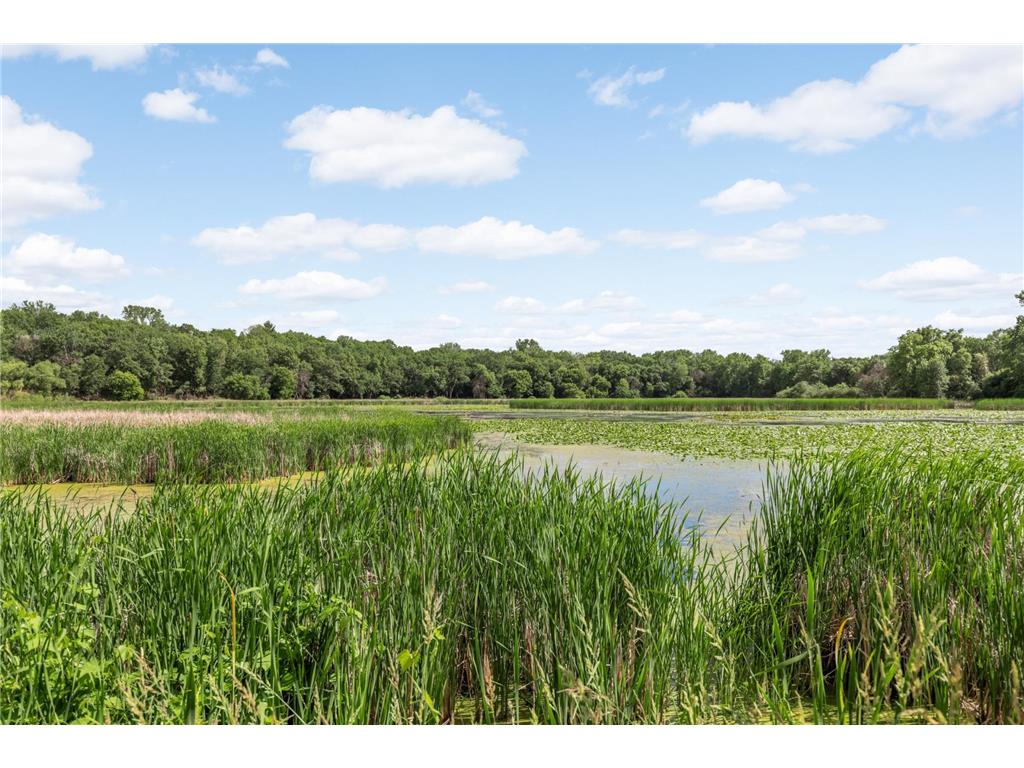 8336 Ewing Road Bloomington MN 55431 7090395 image35