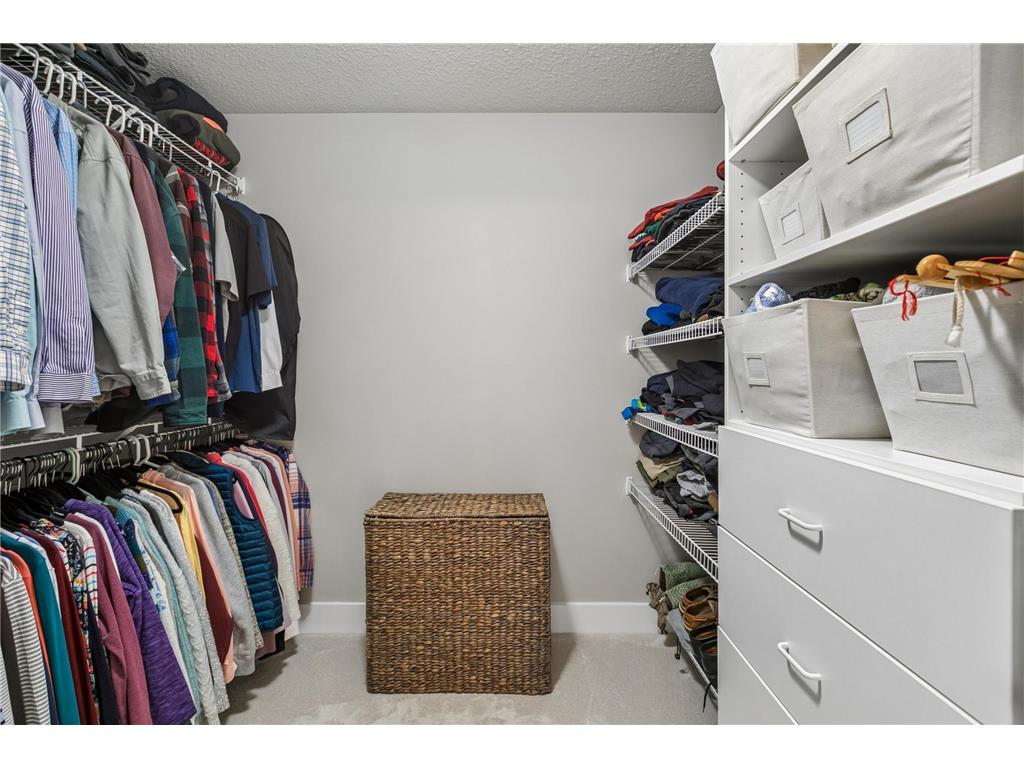 8345 Cottonwood Lane N Maple Grove MN 55369 7056103 image26