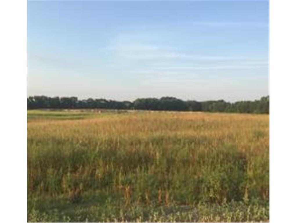 8354 169th Avenue NE Columbus MN 55025 7047458 image4