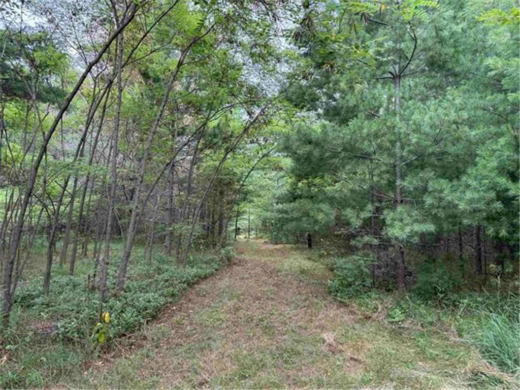 8355 Half Moon Lake Drive Iron River WI 54847 - Half Moon Lake 6776875 image10