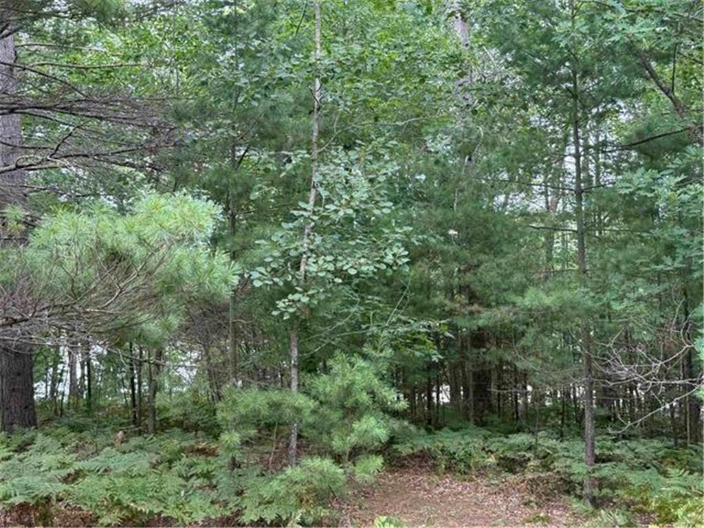 8355 Half Moon Lake Drive Iron River WI 54847 - Half Moon Lake 6776875 image13