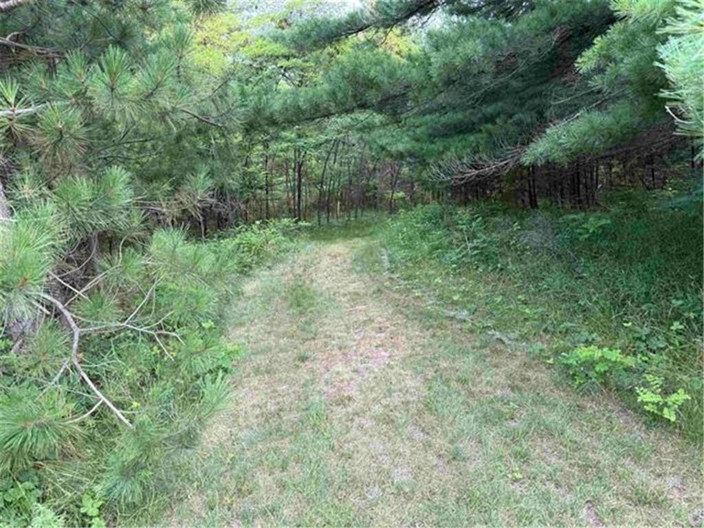 8355 Half Moon Lake Drive Iron River WI 54847 - Half Moon Lake 6776875 image14