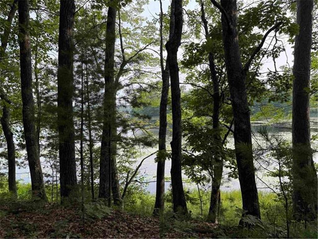 8355 Half Moon Lake Drive Iron River WI 54847 - Half Moon Lake 6776875 image4