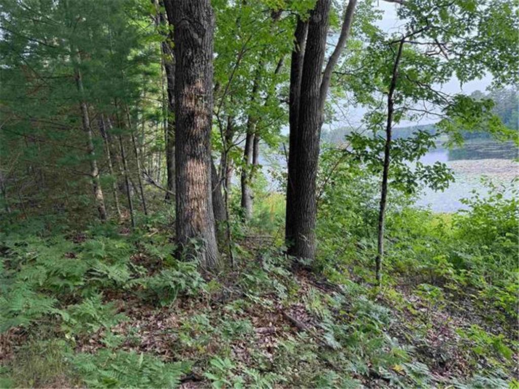 8355 Half Moon Lake Drive Iron River WI 54847 - Half Moon Lake 6776875 image7