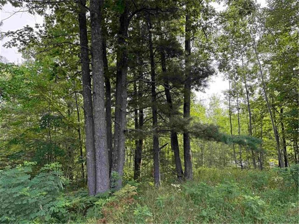 8355 Half Moon Lake Drive Iron River WI 54847 - Half Moon Lake 6776875 image8