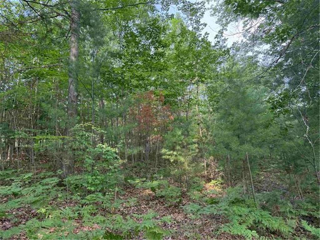 8355 Half Moon Lake Drive Iron River WI 54847 - Half Moon Lake 6776875 image9