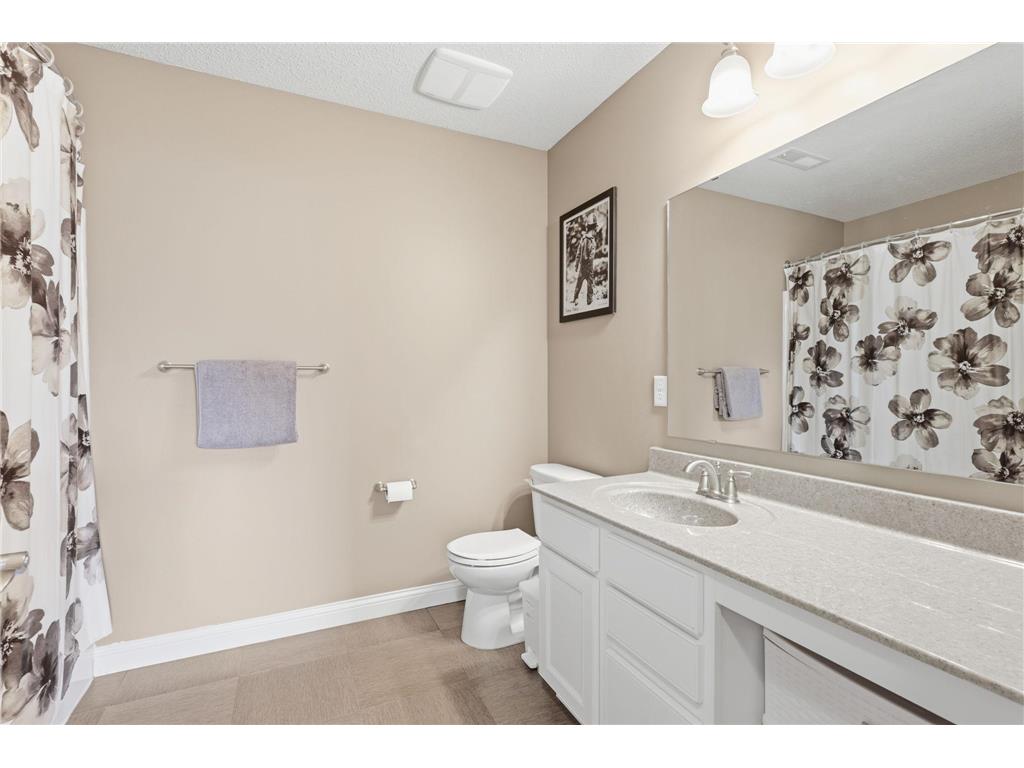 8359 Cottonwood Lane N Maple Grove MN 55369 7094846 image25