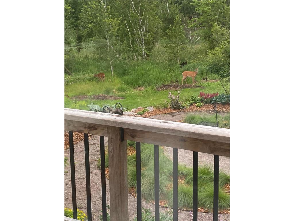 8360 176th Avenue NW Ramsey MN 55303 7068298 image65