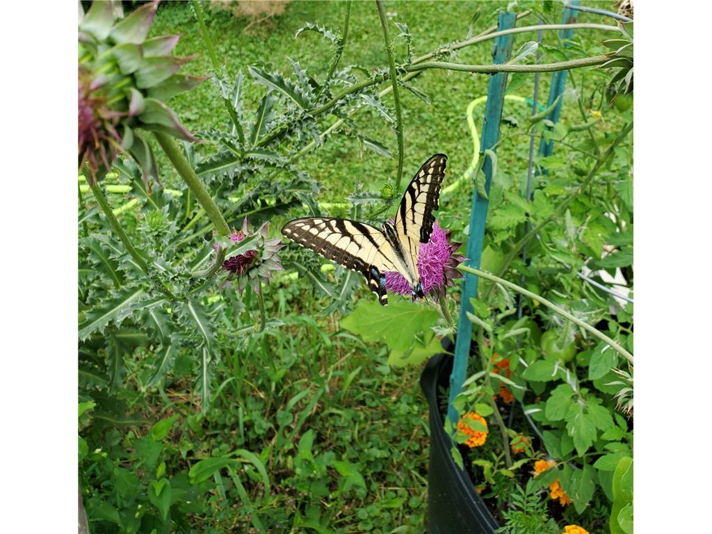 8365 Delaney Circle, Inver Grove Heights, MN, 55076 MLS 6494241 Edina Realty