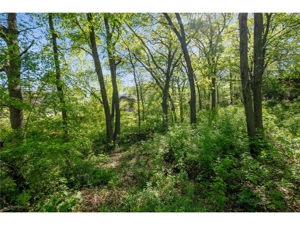 8365 Delaney Circle, Inver Grove Heights, MN, 55076 MLS 6494241 Edina Realty