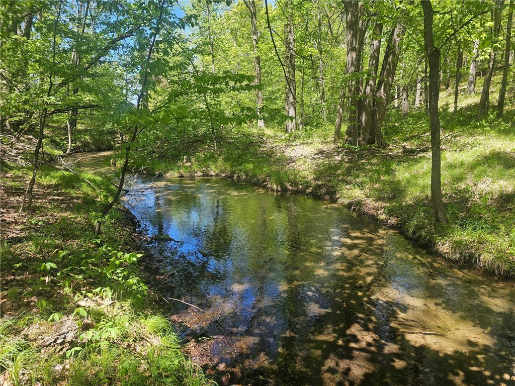 8366 Hidden Creek Court Pequot Lakes MN 56472 7023594 image10