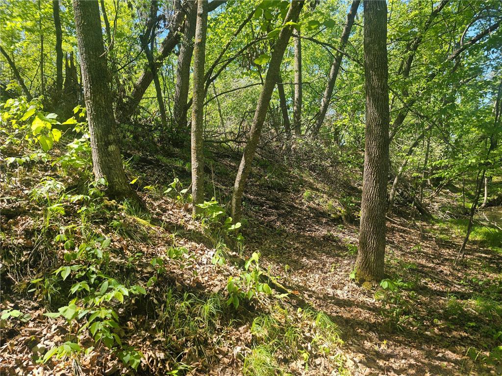 8366 Hidden Creek Court Pequot Lakes MN 56472 7023594 image11