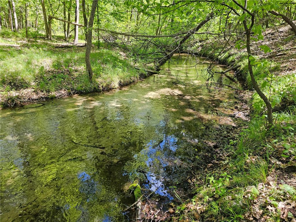 8366 Hidden Creek Court Pequot Lakes MN 56472 7023594 image12