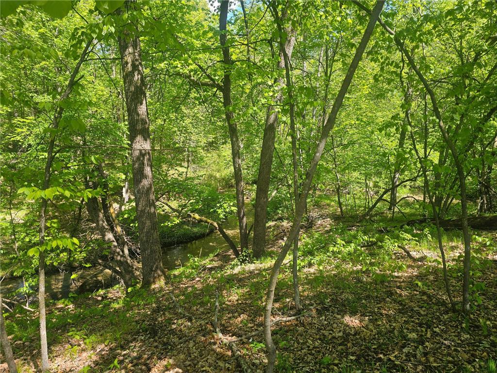 8366 Hidden Creek Court Pequot Lakes MN 56472 7023594 image13