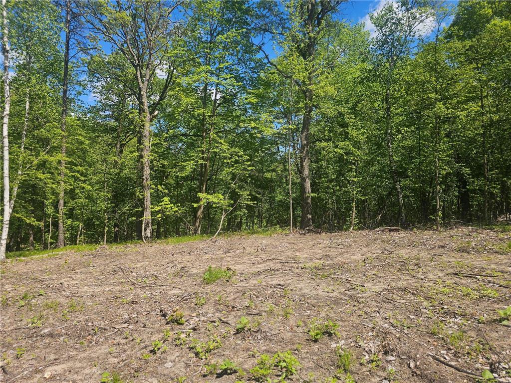 8366 Hidden Creek Court Pequot Lakes MN 56472 7023594 image15