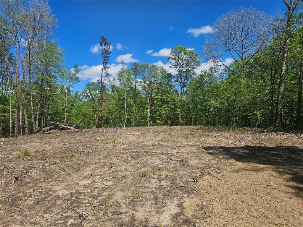 8366 Hidden Creek Court Pequot Lakes MN 56472 7023594 image3