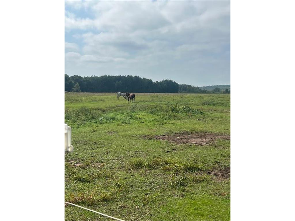 8379 Deer Valley Road Pine City Twp MN 55063 6788755 image16