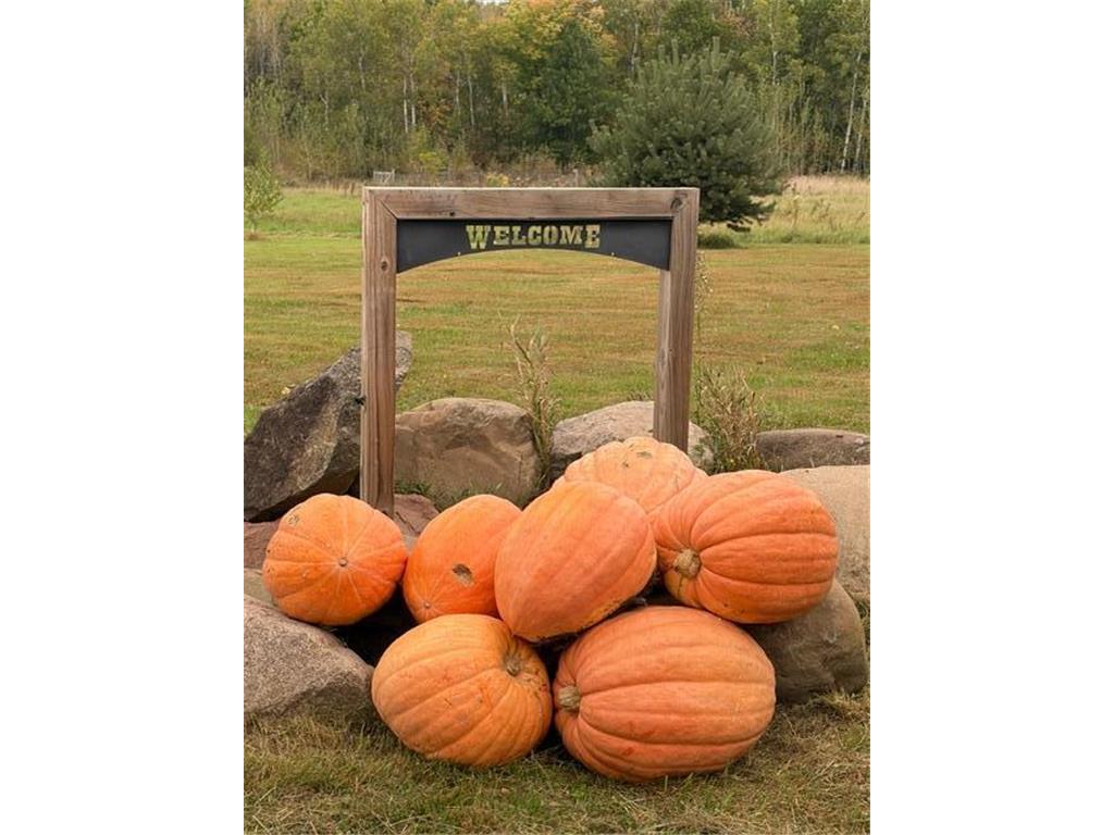 8379 Deer Valley Road Pine City Twp MN 55063 6788755 image7