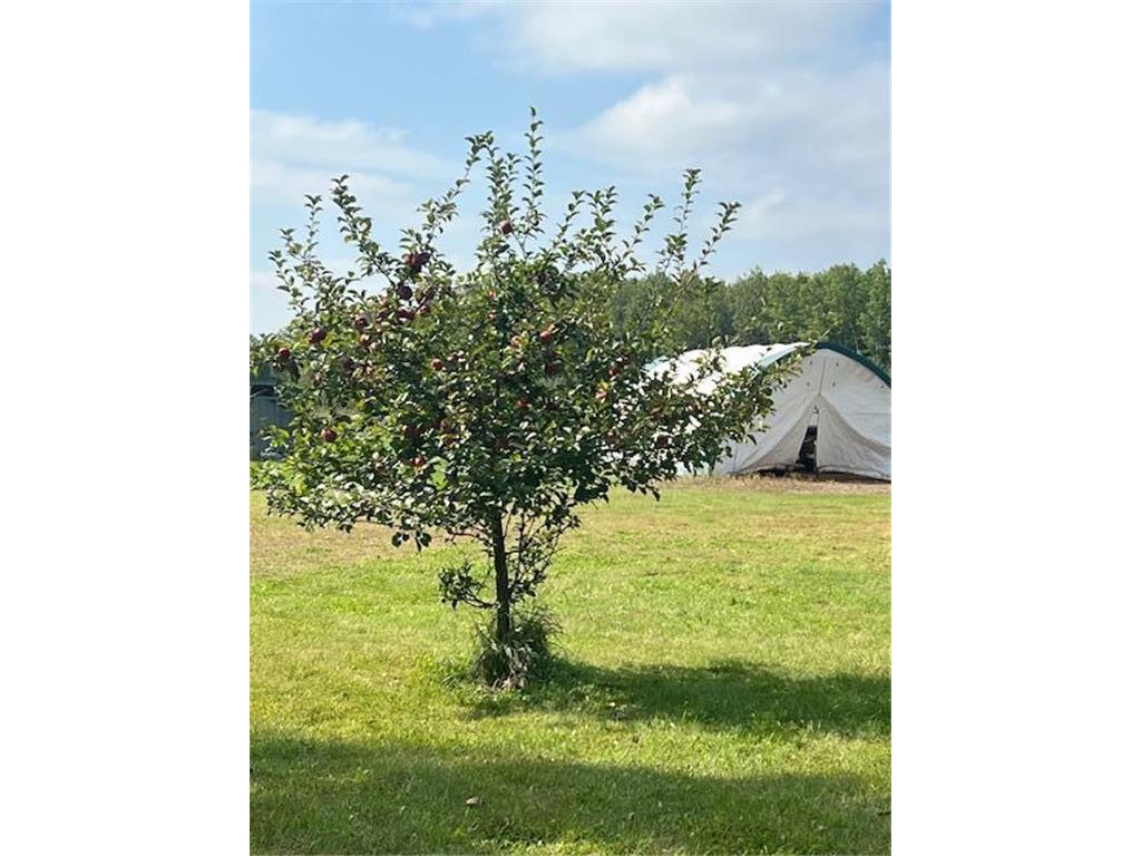 8379 Deer Valley Road Pine City Twp MN 55063 6788755 image8