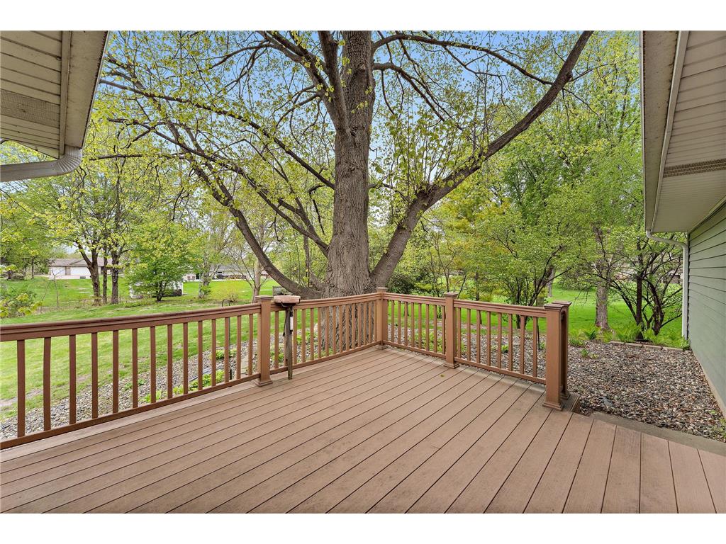8381 Annalisa Path Inver Grove Heights MN 55077 7066100 image21