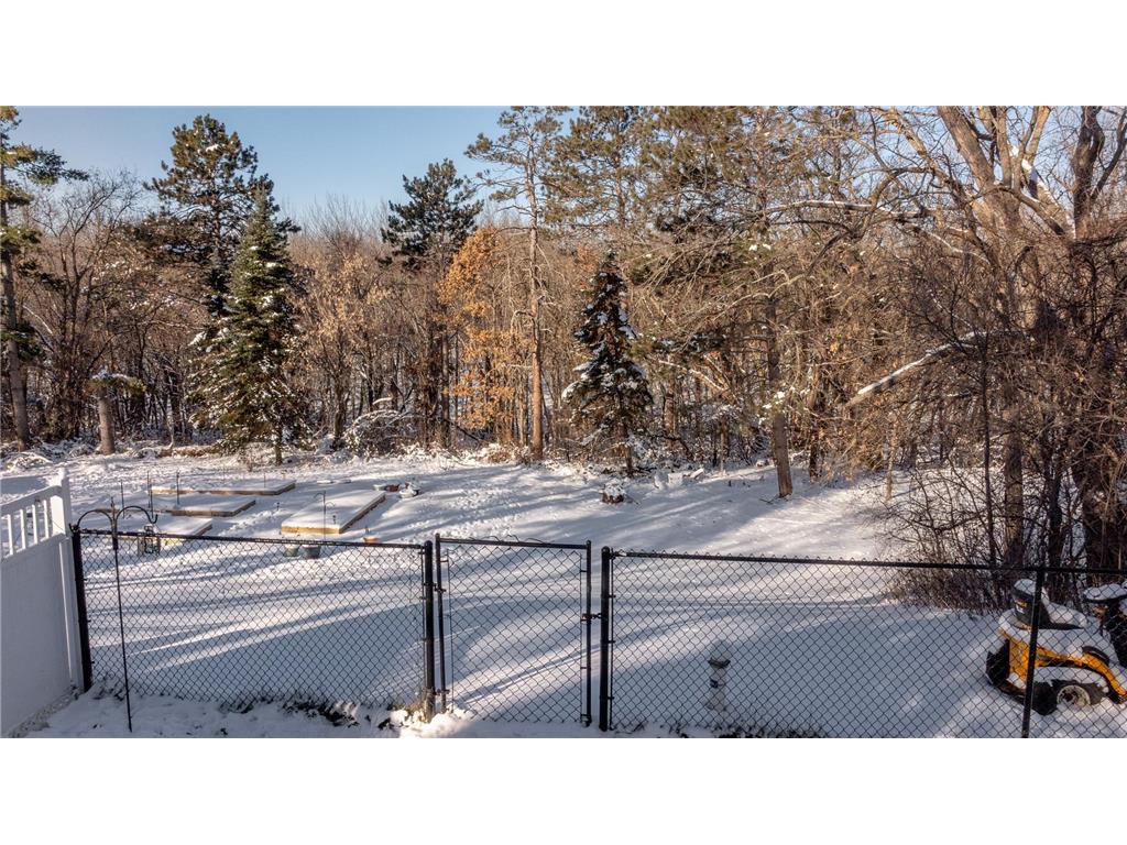 839 Bluff Avenue Brainerd MN 56401 6823753 image52