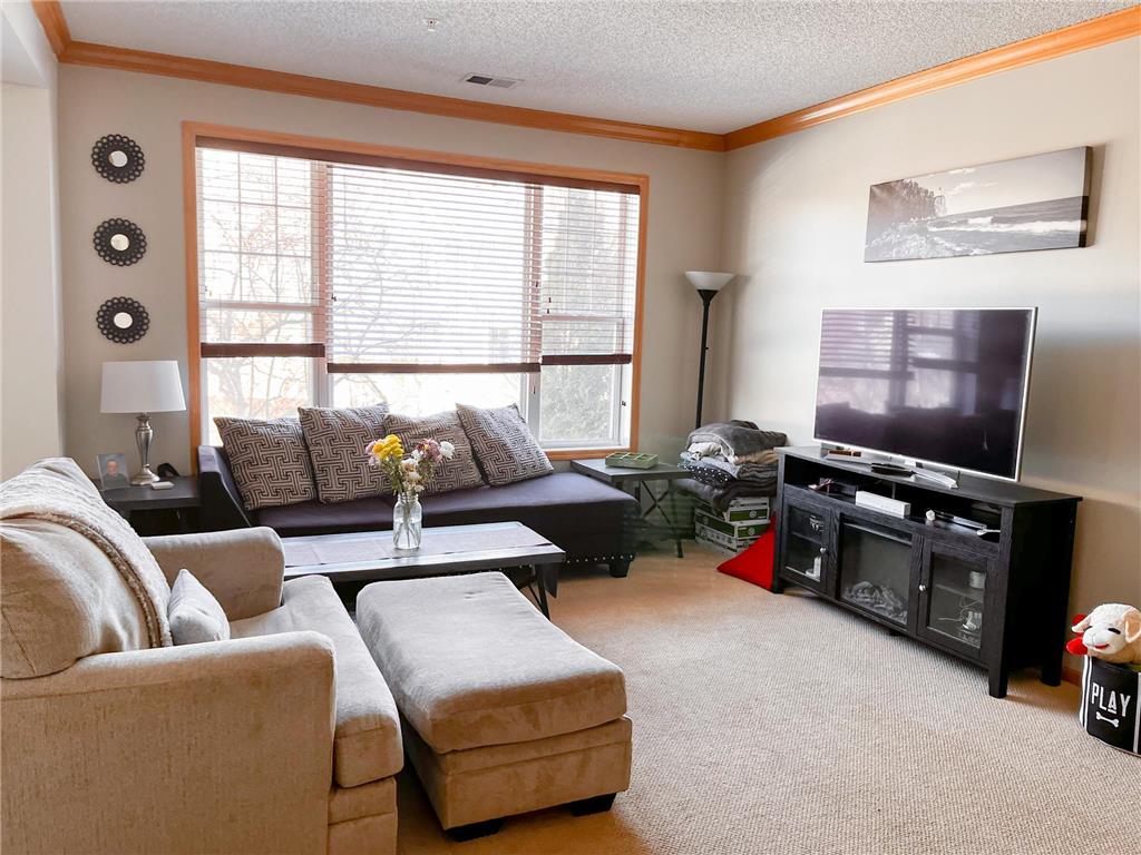 8391 Townsend Drive Eden Prairie MN 55344 6341282 image1