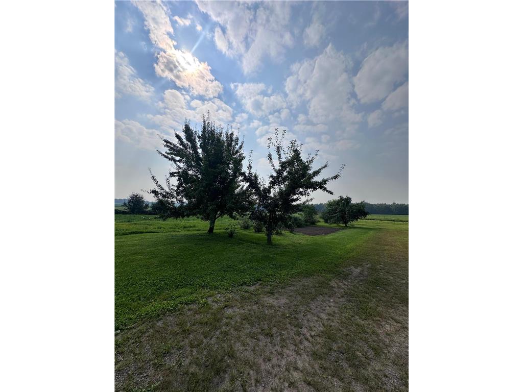 8393 165th Street Borgholm Twp MN 56353 6766852 image7