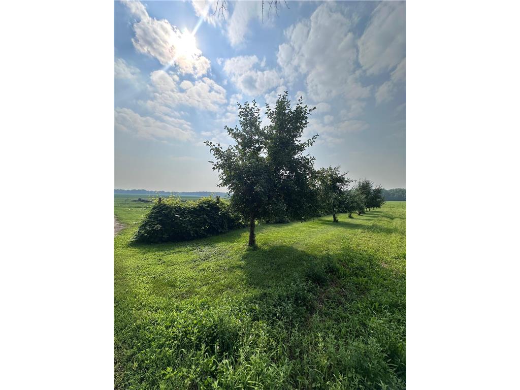 8393 165th Street Borgholm Twp MN 56353 6766852 image8