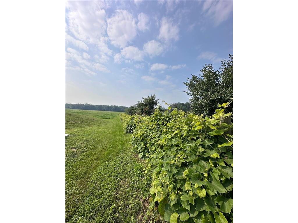 8393 165th Street Borgholm Twp MN 56353 6766852 image9