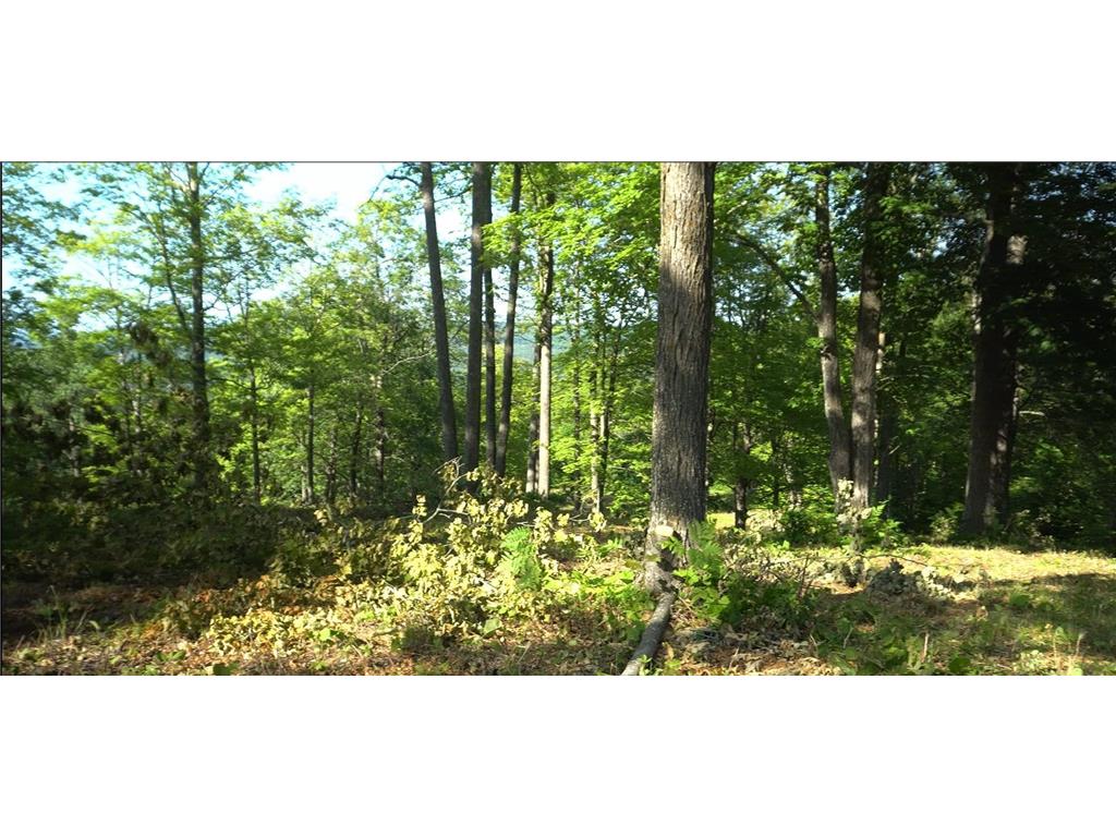 83xxx - Lot 11 Ashwabay Road Bayfield WI 54814 6758158 image4