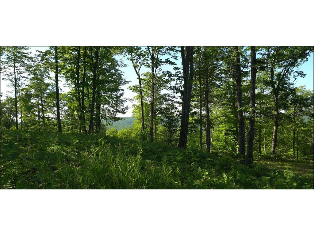 83xxx - Lot 11 Ashwabay Road Bayfield WI 54814 7070180 image10