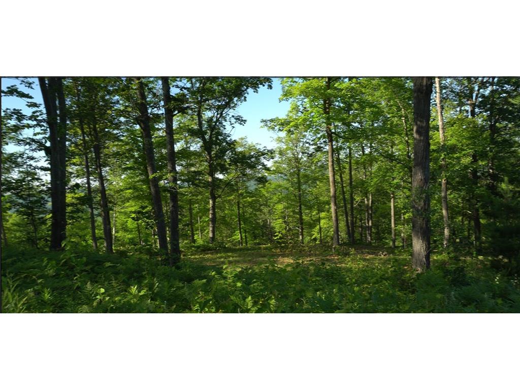 83xxx - Lot 11 Ashwabay Road Bayfield WI 54814 7070180 image8