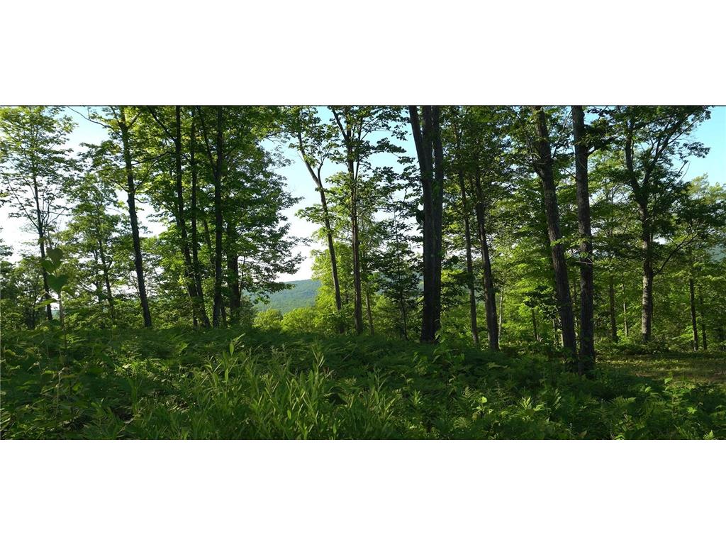 83xxx - Lot 11 Ashwabay Road Bayfield WI 54814 7070180 image9