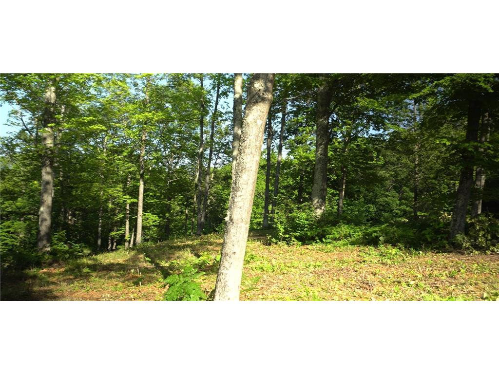 83xxx - Lot 12 Ashwabay Road Bayfield WI 54814 6758159 image10
