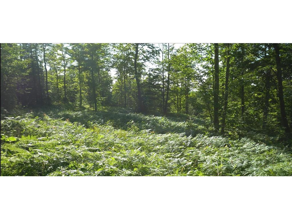 83xxx - Lot 12 Ashwabay Road Bayfield WI 54814 6758159 image2