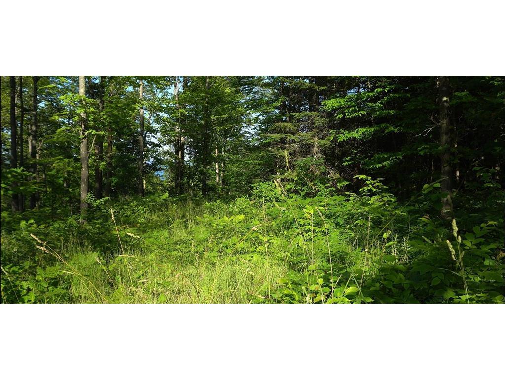 83xxx - Lot 12 Ashwabay Road Bayfield WI 54814 6758159 image3