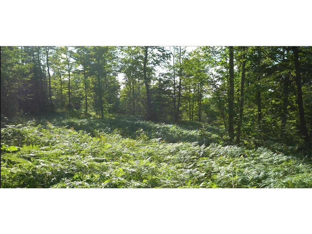 83xxx - Lot 12 Ashwabay Road Bayfield WI 54814 7070177 image2