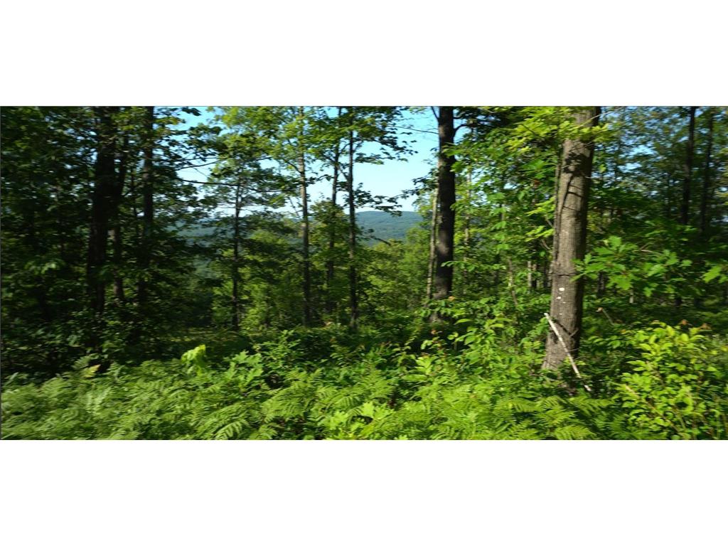 83xxx - Lot 12 Ashwabay Road Bayfield WI 54814 7070177 image4