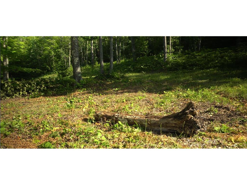 83xxx - Lot 12 Ashwabay Road Bayfield WI 54814 7070177 image8