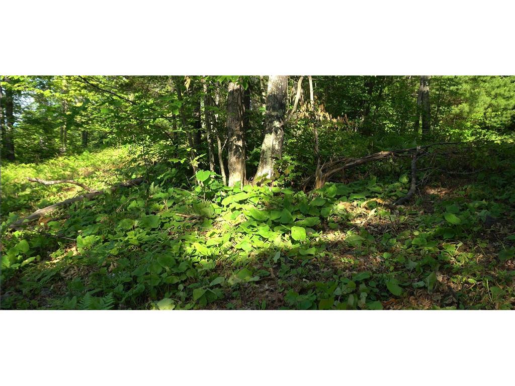 83xxx - Lot 13 Ashwabay Road Bayfield WI 54814 6758166 image10