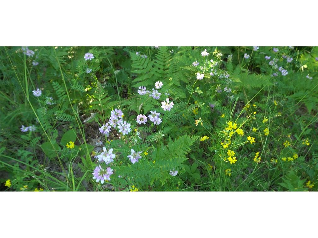 83xxx - Lot 13 Ashwabay Road Bayfield WI 54814 6758166 image5