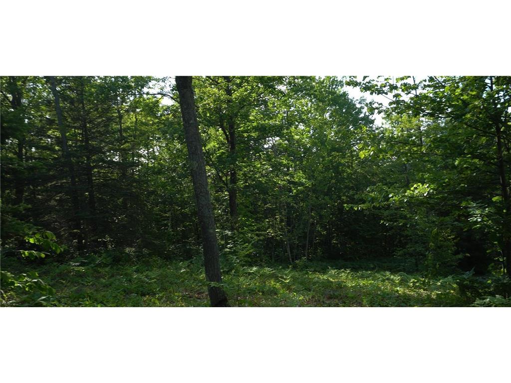 83xxx - Lot 13 Ashwabay Road Bayfield WI 54814 6758166 image7