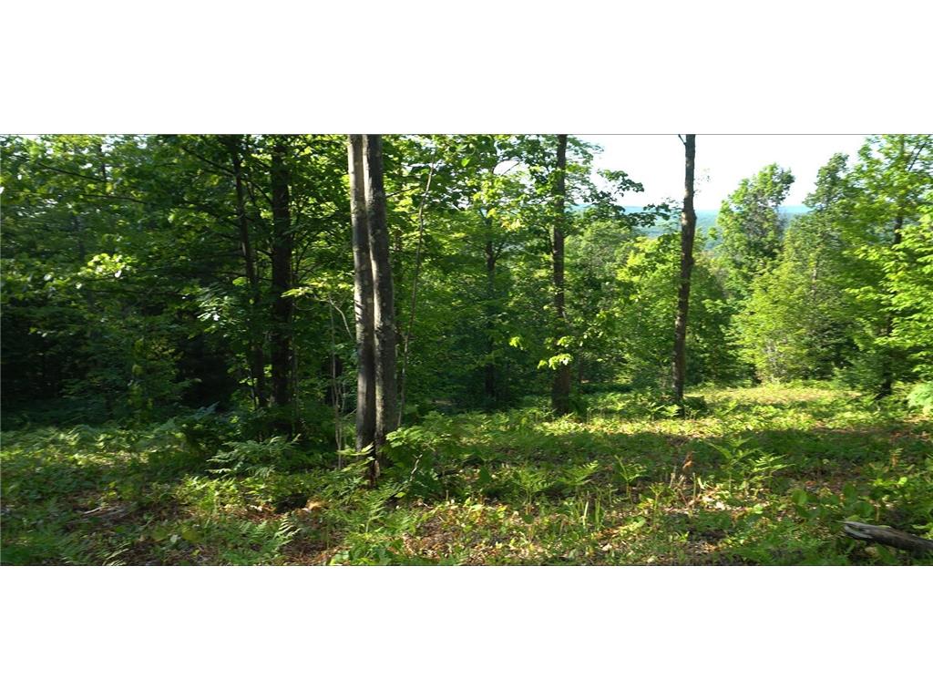 83xxx - Lot 13 Ashwabay Road Bayfield WI 54814 6758166 image9